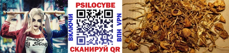 mega зеркало  Ак-Довурак  Псилоцибиновые грибы GOLDEN TEACHER 
